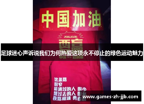 足球迷心声诉说我们为何热爱这项永不停止的绿色运动魅力