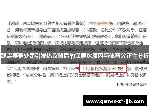 魏震禁赛处罚引发热议背后的深层次原因与体育公正性分析
